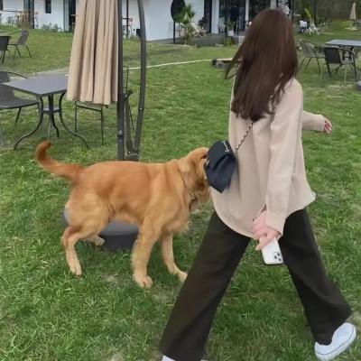 侠盗列那狐