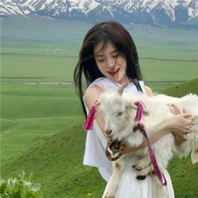 威尼斯的阿历克斯